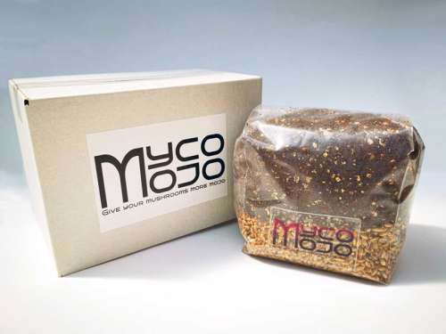 Myco Mojo CVG Grow Bag - Grow Kit