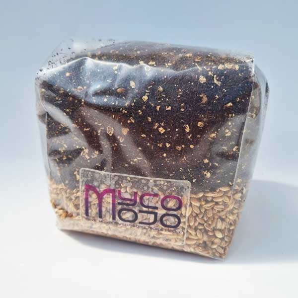 CVG Grow Bag - Myco Mojo Grow Kit